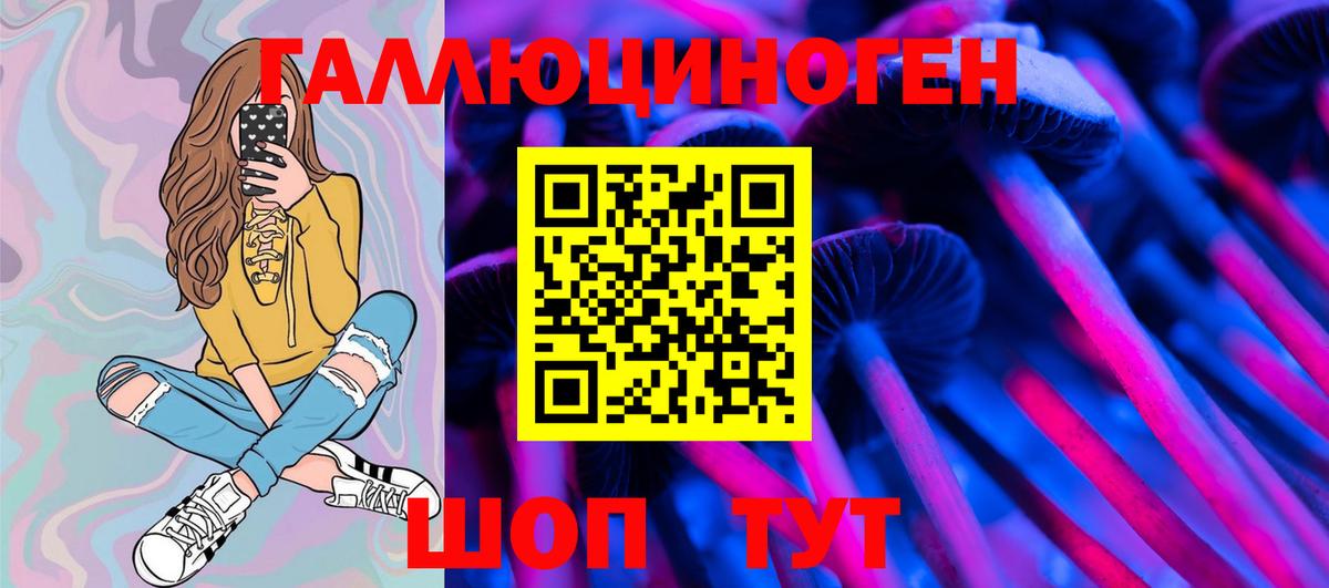 Галлюциногенные грибы MAGIC MUSHROOMS  Вход с VPN  Уссурийск  Псилоцибиновые грибы GOLDEN TEACHER 